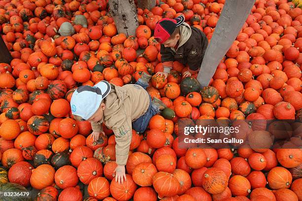 Twin three-year-old brothers Max and Paul Gensch play among pumpkins on display at the Spargelhof Klaistow farm on October 12, 2008 in Klaistow,...