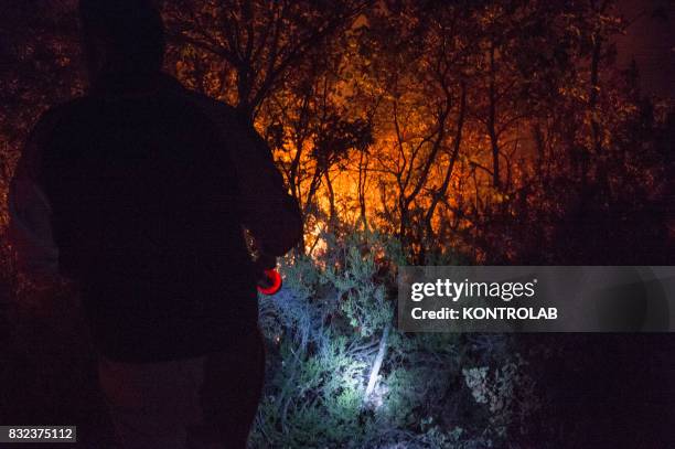 Volunteers and citizens work to extinguish a vast fire in Sila, in Calabria, southern Italy.