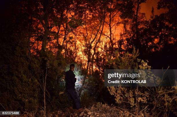 Citizen work to extinguish a vast fire in Sila, in Calabria, southern Italy.