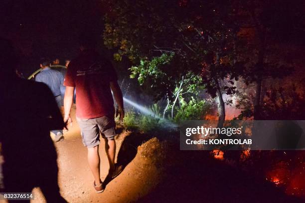 Volunteers work to extinguish a vast fire in Sila , in Calabria, southern Italy.