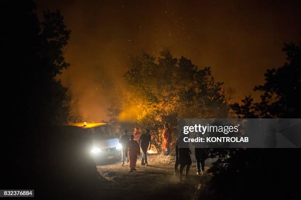 Volunteers work to extinguish a vast fire in Sila , in Calabria, southern Italy.