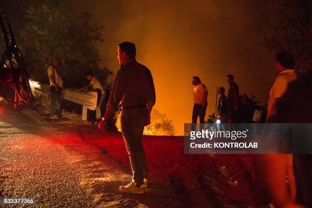 Volunteers gather to turn off a vast fire in Sila , in Calabria, southern Italy.