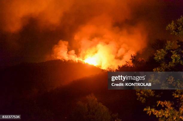 Vast fire in the Sila mountains, in Calabria, southern Italy.