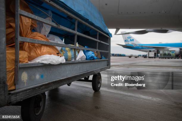 Mail sacks and packages sit in a trailer as aircraft operated by KLM, the Dutch arm of Air France-KLM Group, stand on the tarmac at Schiphol airport...