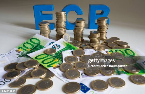 Criticism of the monetary policy of the European Central Bank. Review of ECB bond purchases by the Constitutional Court. The photo shows one Euro...