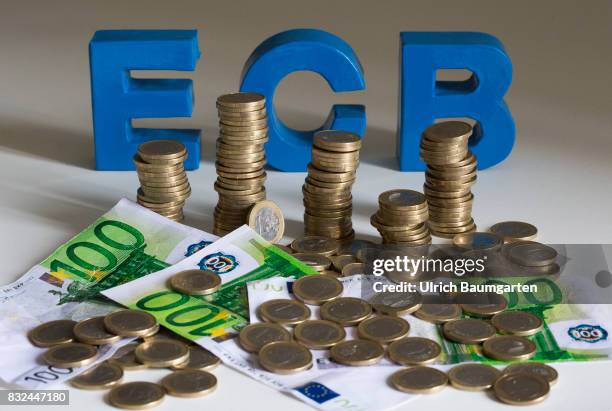 Criticism of the monetary policy of the European Central Bank. Review of ECB bond purchases by the Constitutional Court. The photo shows one Euro...