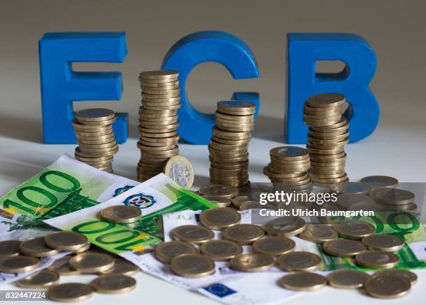 Criticism of the monetary policy of the European Central Bank. Review of ECB bond purchases by the Constitutional Court. The photo shows one Euro...