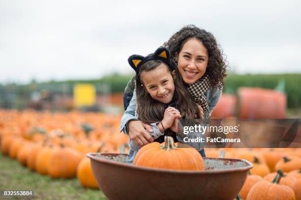 family at pumpkin patch farm - pumpkin patch stock pictures, royalty-free photos & images
