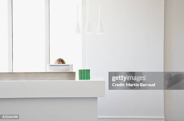 top of woman's head over computer monitor - concierge stockfoto's en -beelden