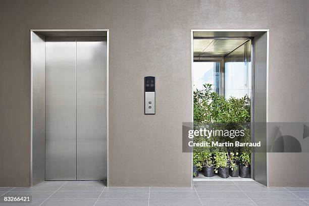 ascensor lleno de plantas de oficina - elevator fotografías e imágenes de stock