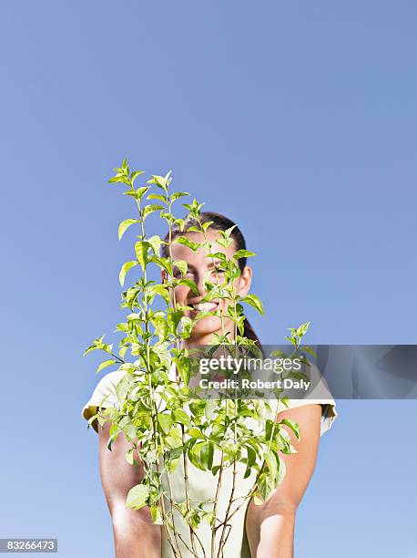 woman holding bush - female bush photos stockfoto's en -beelden
