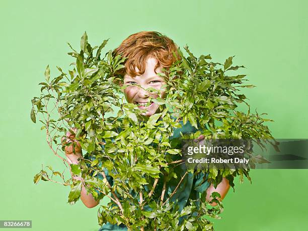 young boy hiding behind green bush - ginger bush stock pictures, royalty-free photos & images