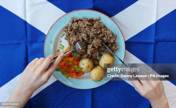 Generic picture of a haggis, neeps and tatties meal.