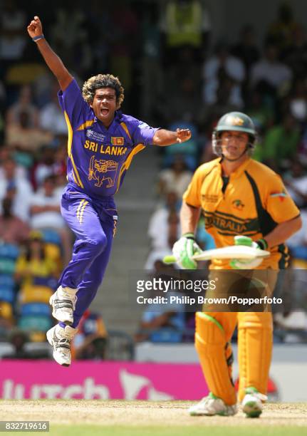 Lasith Malinga of Sri Lanka starts to celebrate too early as a chance off Australian batsman Adam Gilchrist is dropped by the wicketkeeper during the...