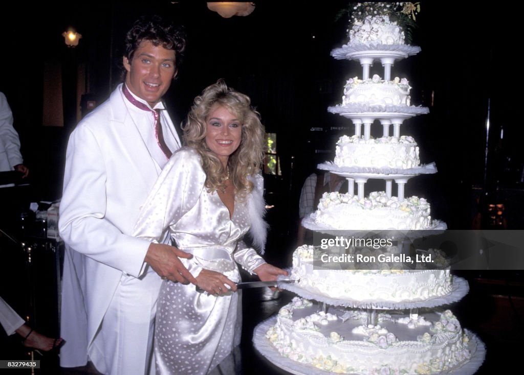 David Hasselhoff & Catherine Hickland Wedding