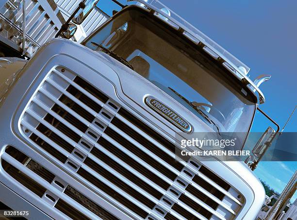 Freightliner heavy-duty truck is seen in this October 14, 2008 image taken in Gainesville, Virginia. German heavy truck maker Daimler said it will...