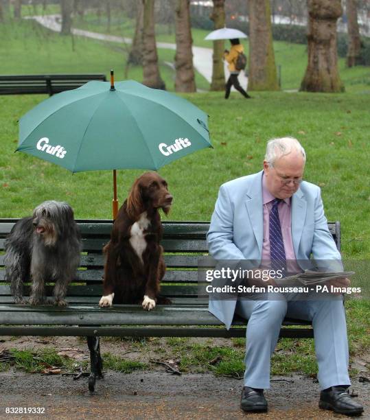 Pyrenean Sheepdog Umbrella Pyrenean Sheepdog Umbrella