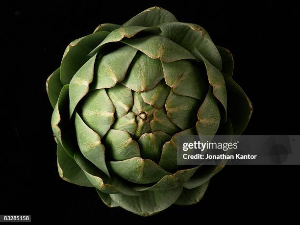 artichoke top - artichoke stock pictures, royalty-free photos & images