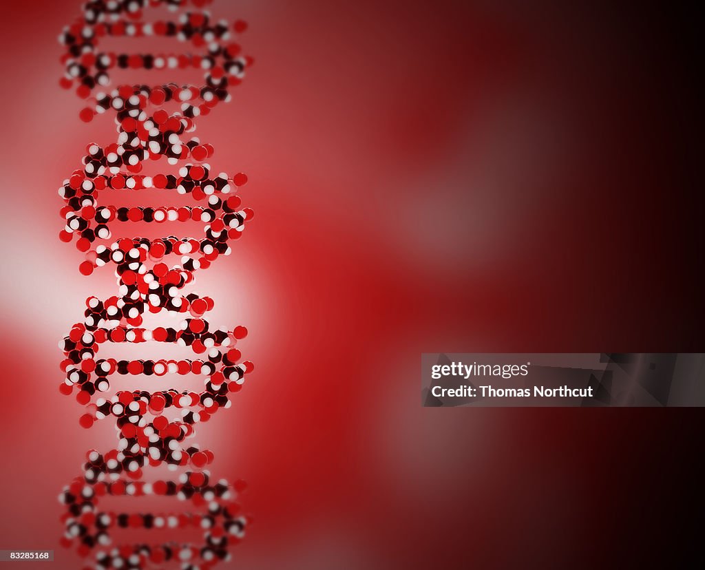 DNA