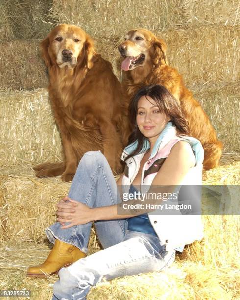 Actress Shannen Doherty poses for a portrait session on January 11, 2007 in Los Angeles, California.