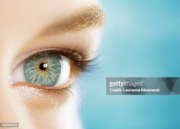 close-up of a woman blue eye on blue background - blue eyes fotografías e imágenes de stock