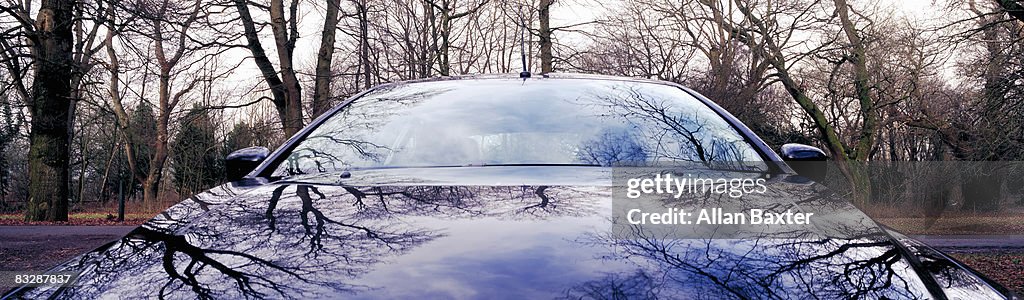 Car in Forest