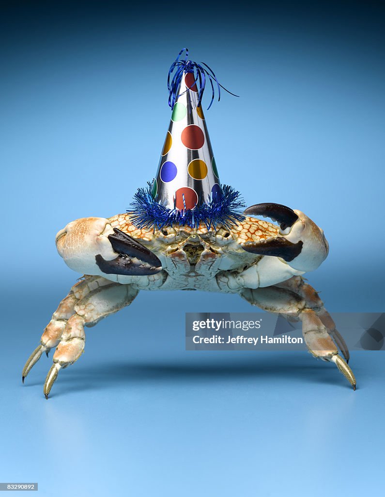 Crab wearing birthday party hat