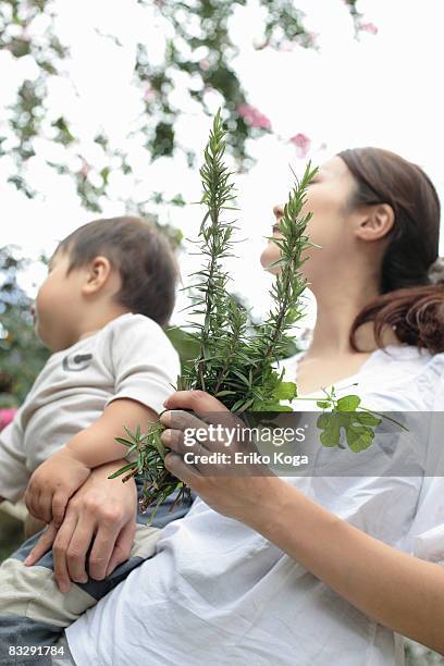 mother holding little boy and herbs - mint plant family stock pictures, royalty-free photos & images
