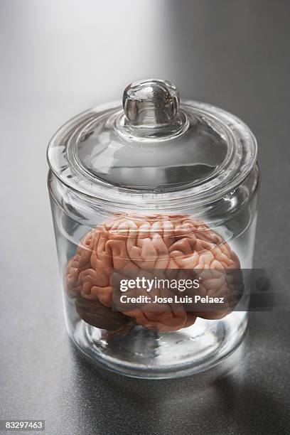 human brain in  a specimen pot - brain in a jar stock pictures, royalty-free photos & images