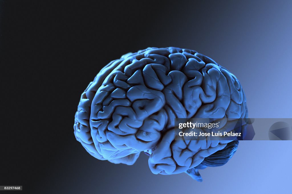 Close up of human brain