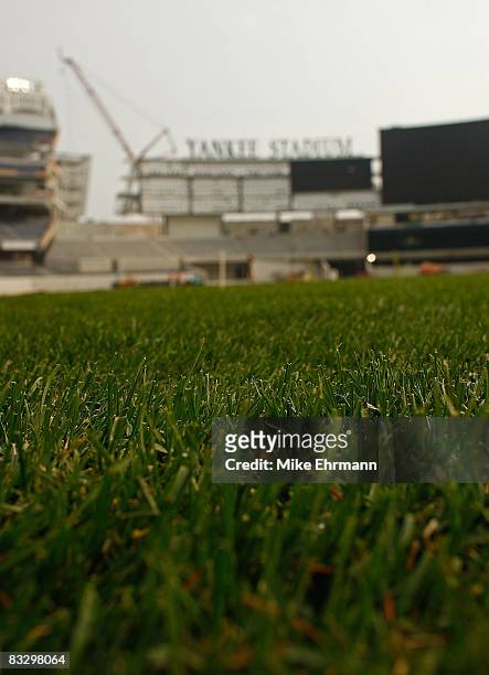 Workers lay sod at the new Yankee Stadium on October 16, 2008 in the Bronx borough of New York City.
