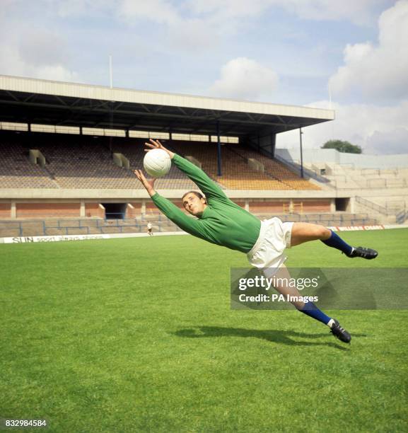 605 Springett Stock Photos, High-Res Pictures, and Images - Getty Images