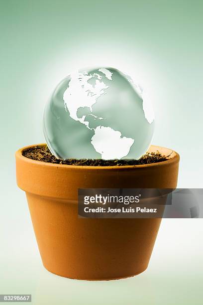 the world on a plant pot - 9927 stock pictures, royalty-free photos & images