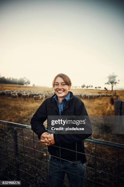 city life's got nothing on country life - sheep field stock pictures, royalty-free photos & images