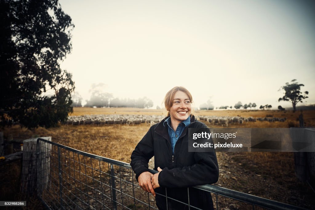 Misty mornings on the farm