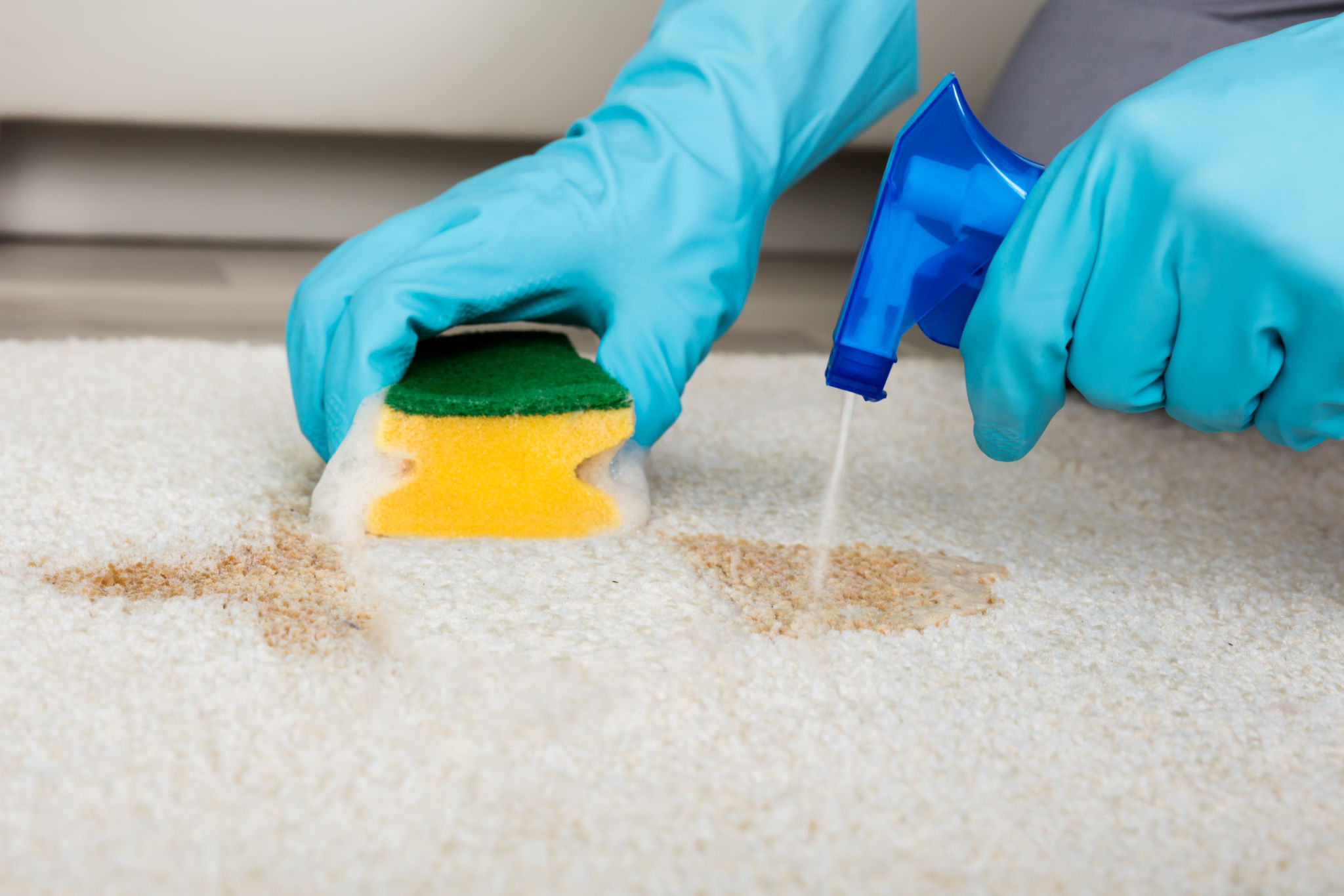 carpet stain removal