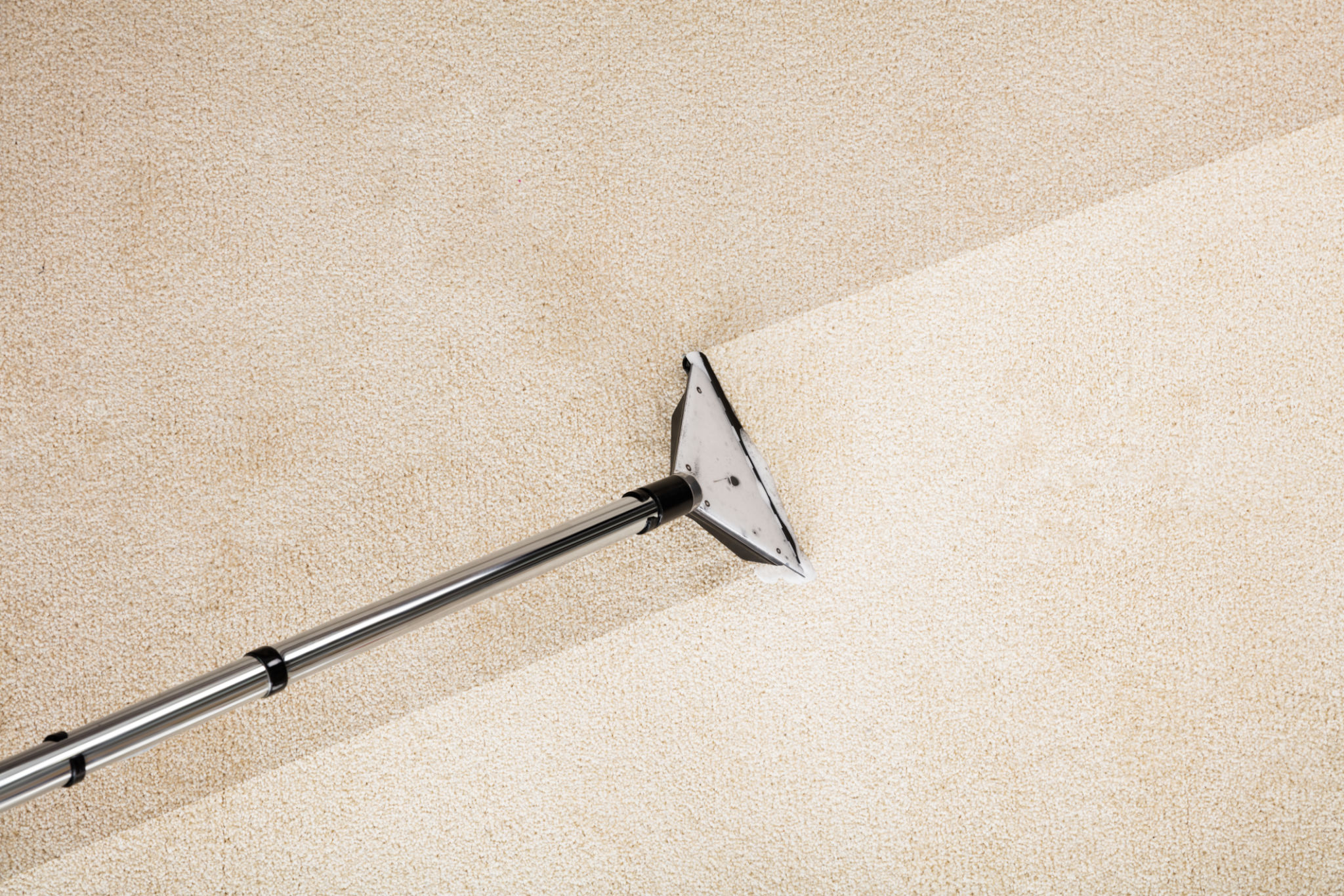 professional carpet cleaner