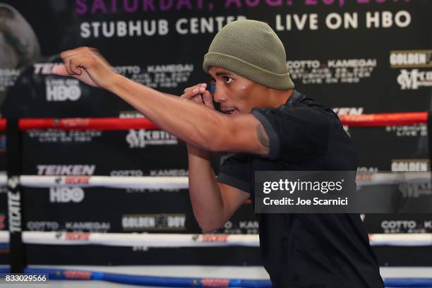 Emilio Sanchez attends the Miguel Cotto Media Workout on August 16, 2017 in Los Angeles, California.