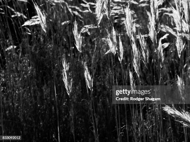 108 0101 Pattern Stock Photos, High-Res Pictures, and Images - Getty Images