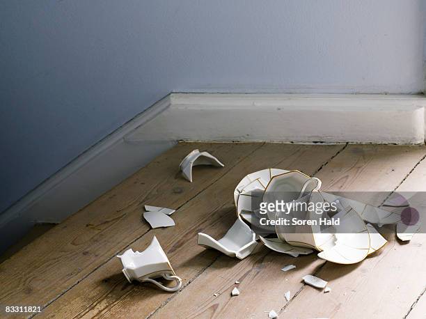 broken cup and saucer on the floor - damaged stock-fotos und bilder