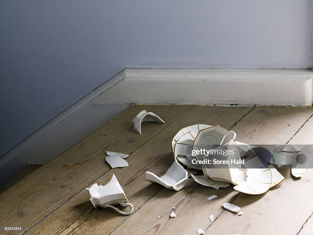 Broken cup and saucer on the floor