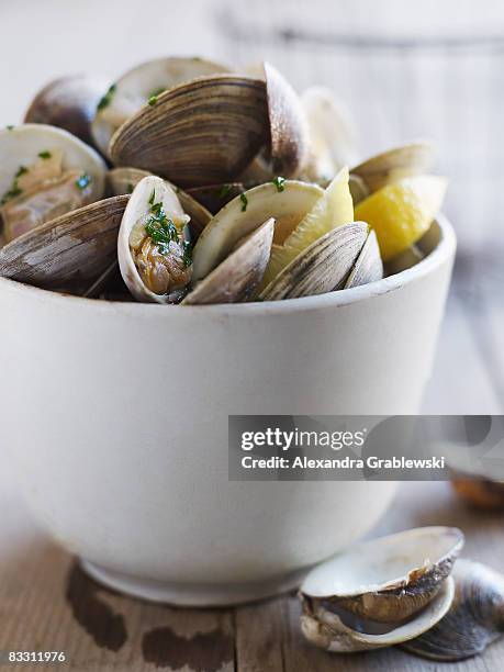 schüssel mit muscheln - clam seafood stock-fotos und bilder