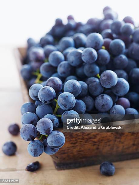 concord grapes - wooden box stockfoto's en -beelden