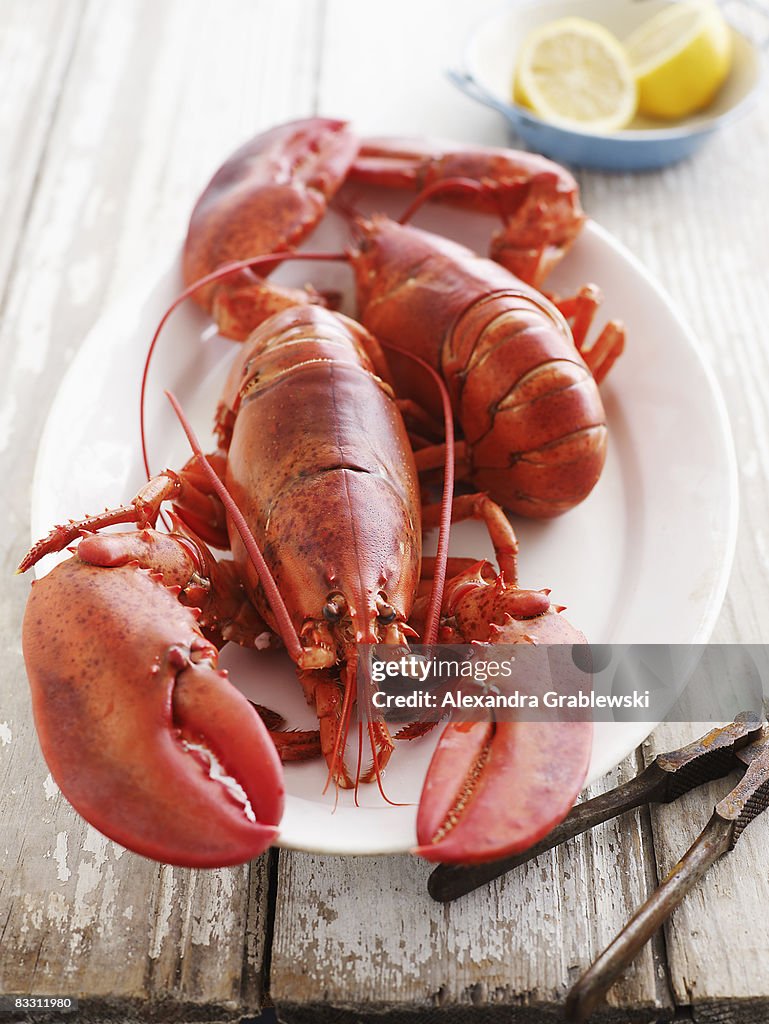 Whole Lobster