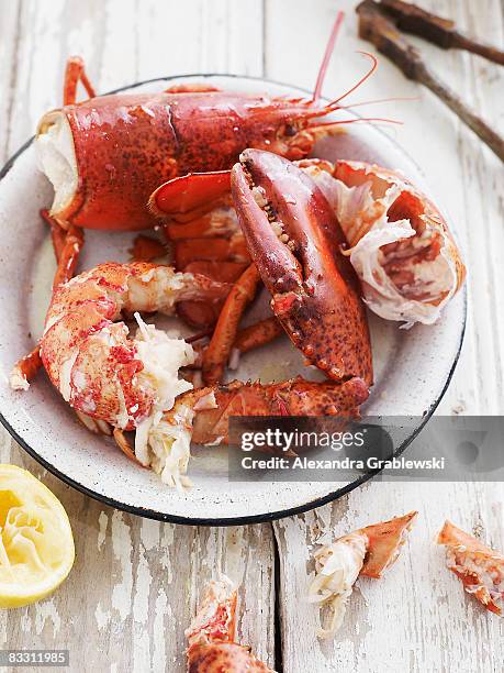 half-eaten lobster - lobster seafood stock pictures, royalty-free photos & images