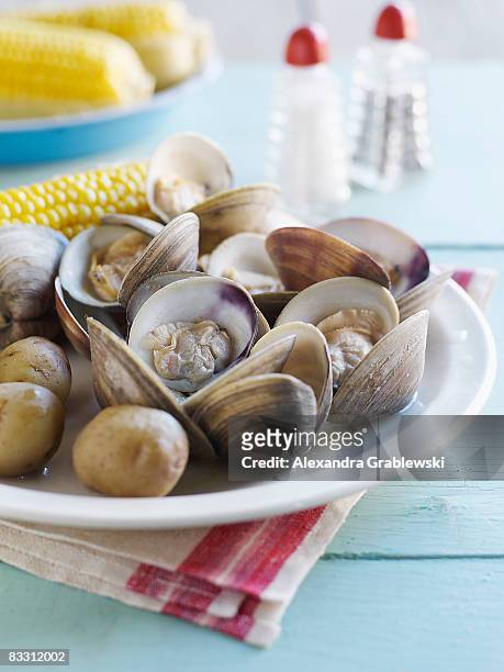 clam bake with corn on the cob - schelpdier dier stockfoto's en -beelden