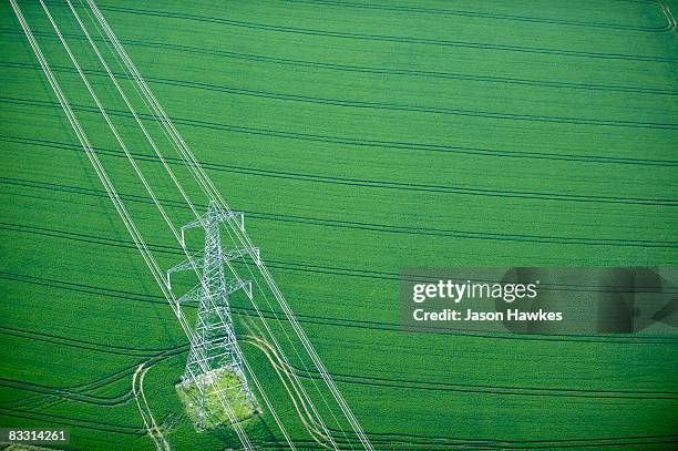 electricity pylon in wheat field - 送電鉄塔 ストックフォトと画像