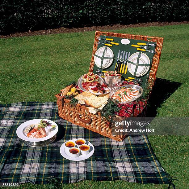 picnic hamper basket with gourmet food on lawn - picnic basket stock pictures, royalty-free photos & images