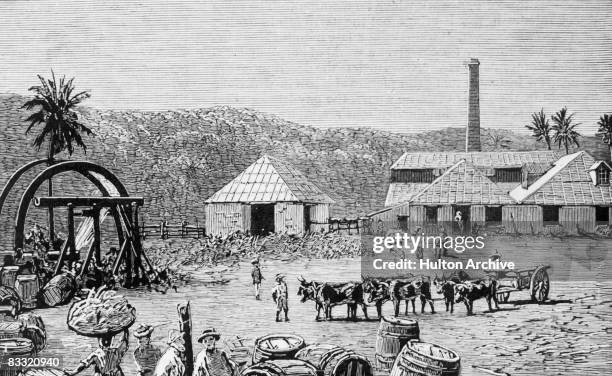 Sugar mills on a sugar cane plantation at St Thomas, Jamaica, 1884. Original publication: The Graphic - pub 22nd November 1884.