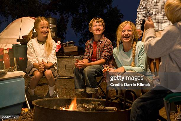 family roasting hotdogs around campfire - mt cook fotografías e imágenes de stock